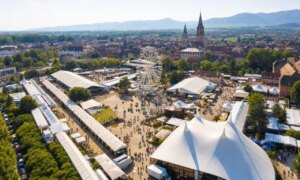 Alsace Wine Fair 2026 in Colmar: these unexpected figures which relaunch the debate on this edition despite the heatwave