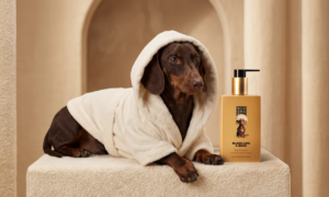 Rituals launches its first range for dogs: shampoo, paw balm, perfume… from $7.90